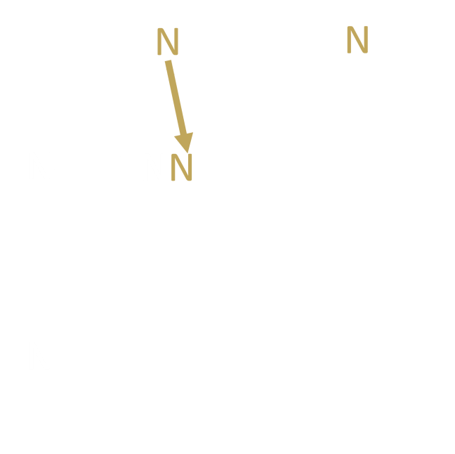Building The Punnett Step 1