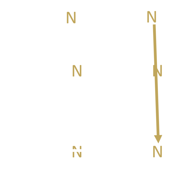 Building The Punnett Step 4
