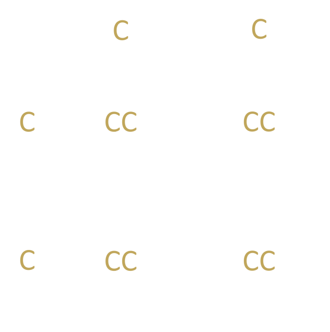Punnett Square visual x visual